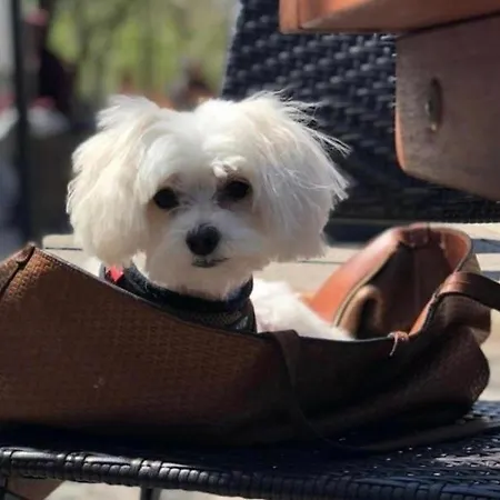 Апартаменты Black Tower In Centrum