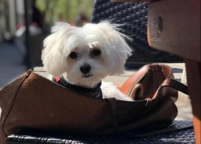 アパート Black Tower In Centrum